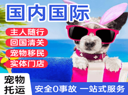 大水泊航空物流国际宠物托运 【国
